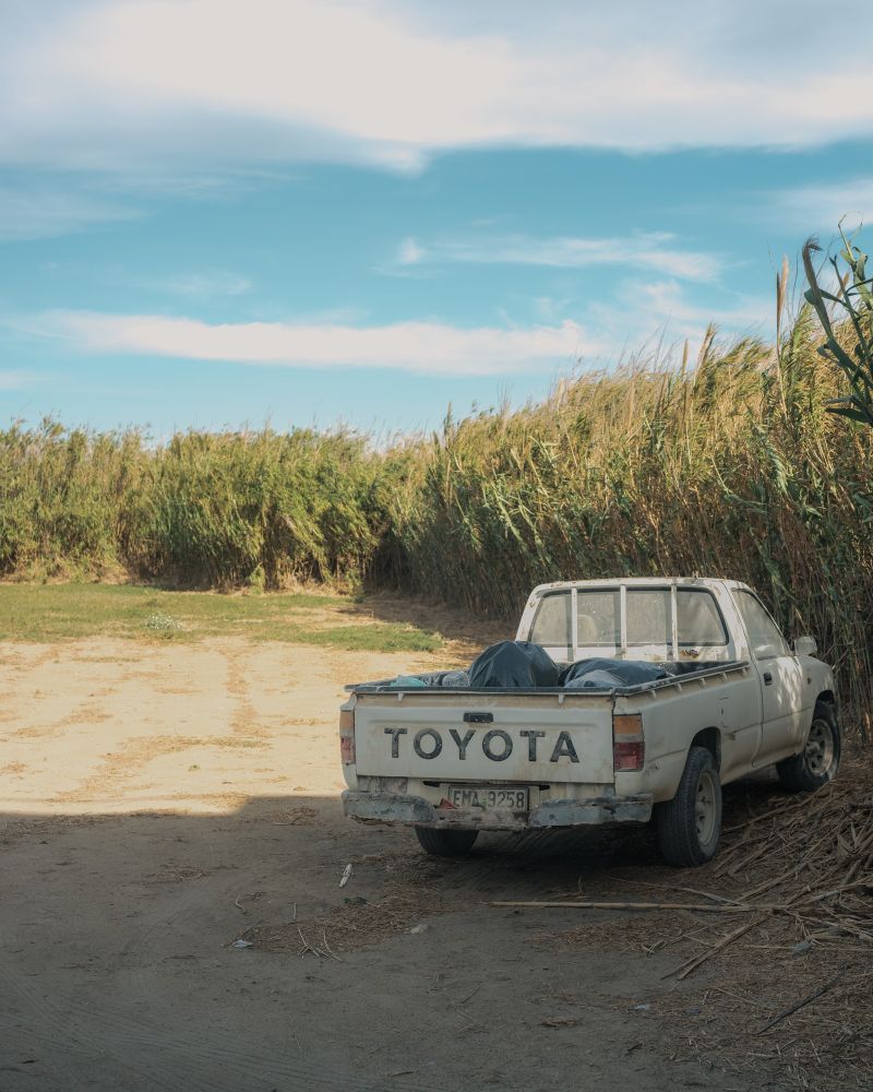 The pickup truck again understood the assignment and left no crumbs in the reeds.