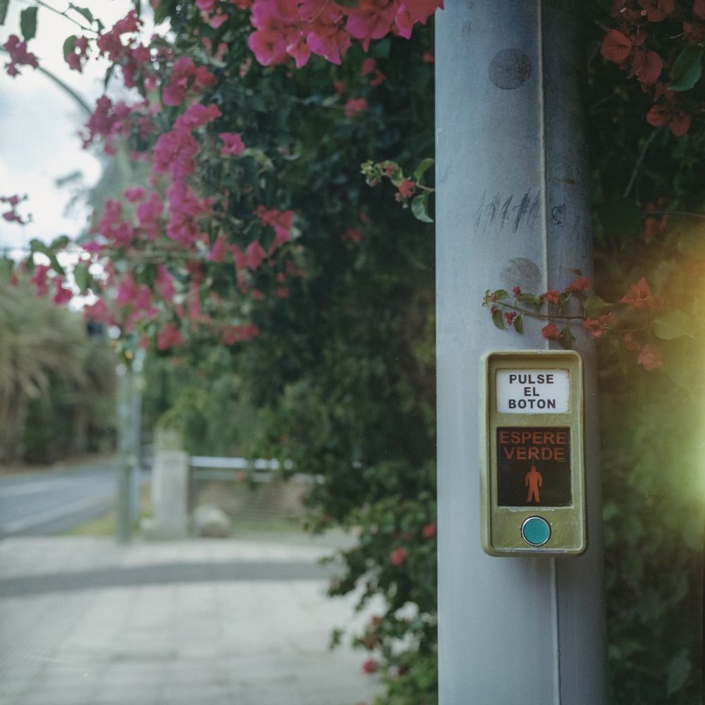 🎞 Kodak 200