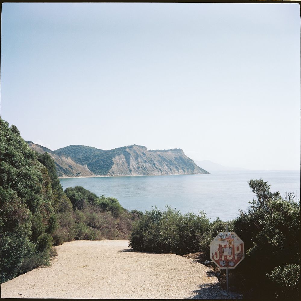 📷 Voigtländer Perkeo II 
🎞️ Kodak Portra 160