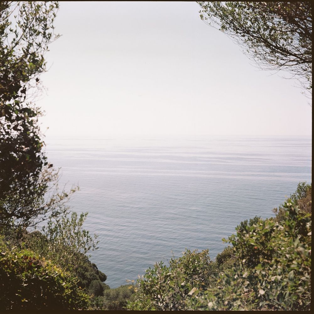 View to the Ionian sea through bushes on a hill. Photo taken with a Voigtländer Perkeo II, Film stock was Kodak Portra 160.