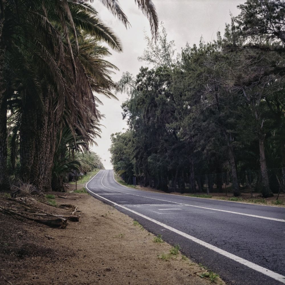 Palm Grove Drive, Fuerteventura 