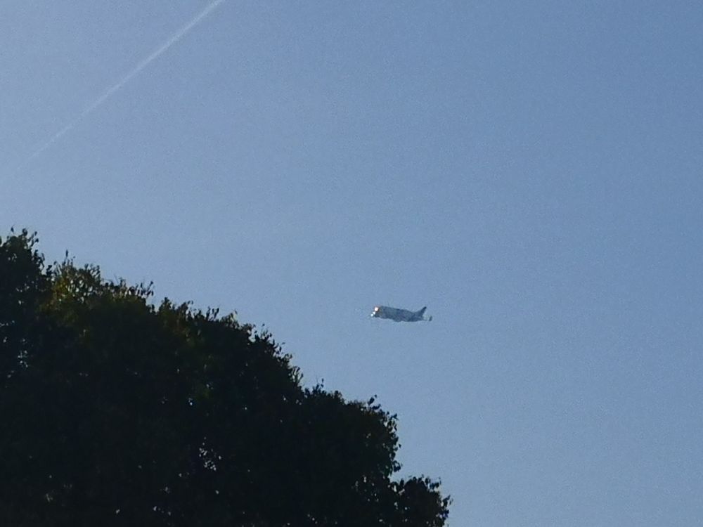 Beluga vu du marché a Blagnac 