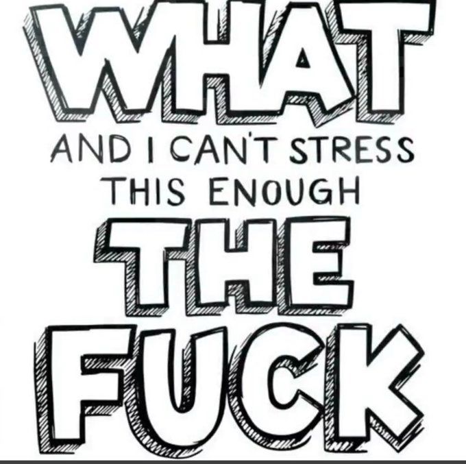 What, and I can't stress this enough, the fuck