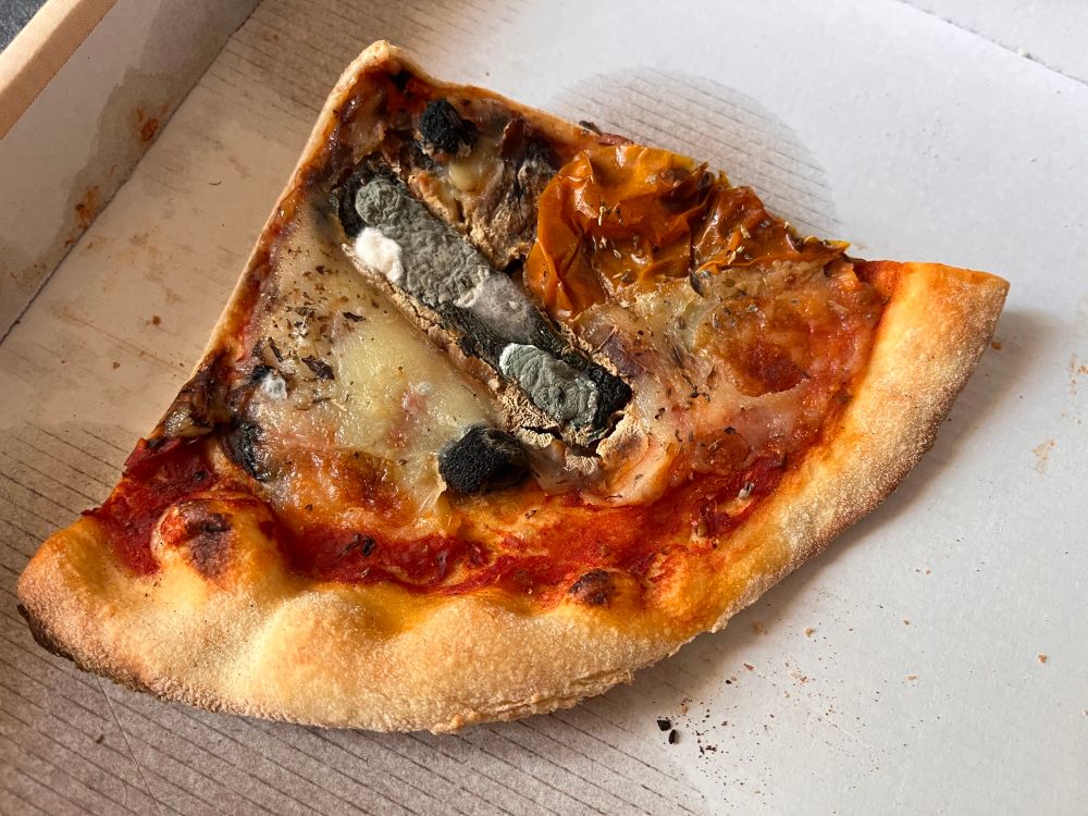 Bild einer verschimmelten und vertrockneten 1/4 Gemüse Pizza 
