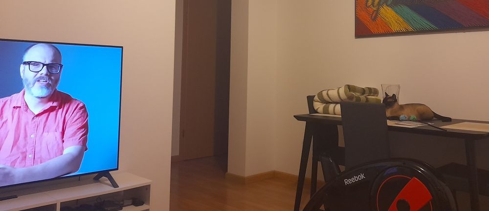 Bubbles the 9 month old cat intently watching This Is Financial Advice by documentarian Dan Olson