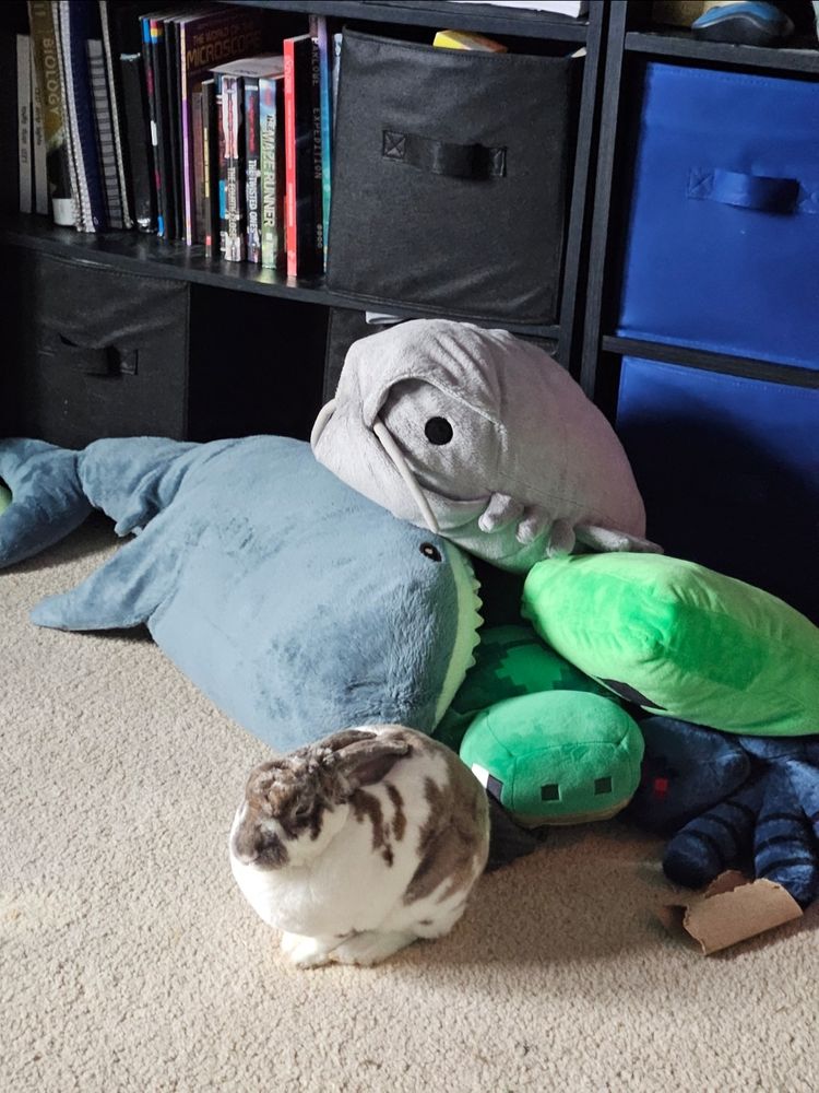 a rabbit sleeping in front of a pile of plushies 