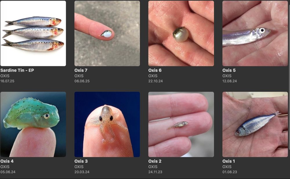 8 Plattencover der Künstlerin Oxis. Die Alben sind einfach nummeriert. Oxis 1, Oxis 2 usw.
Auf jedem Cover ist ein Mini-Fisch abgebildet.