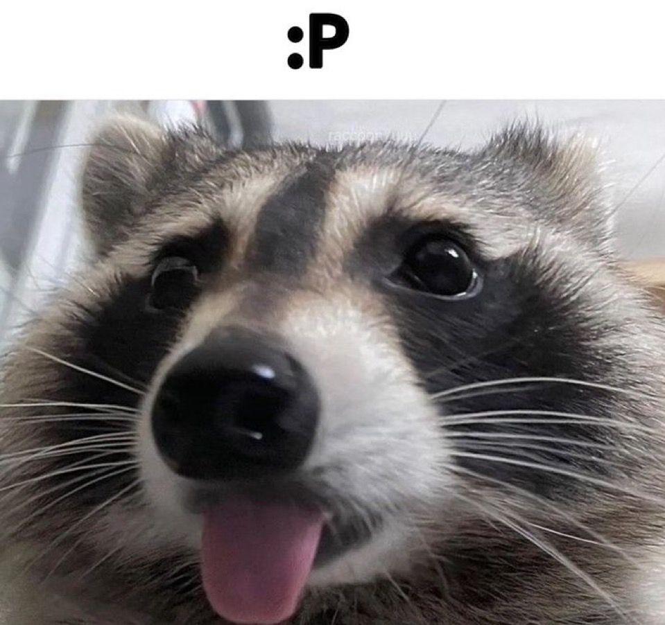 @alteus.bsky.social @anthisma.bsky.social @astarothumbraxakar.bsky.social @kingbarron.bsky.social @blueplayzvt.bsky.social @justmemamabri.bsky.social
@mightymaddie.bsky.social @mizuaoyuki.bsky.social @myrawaa.bsky.social @ragnarmagic.bsky.social @runthiel.bsky.social @sachii.bsky.social @urlilsealpup.bsky.social @severusvt.bsky.social @starmotheii.bsky.social @zetakamui.bsky.social @zetaredux.vtubers.social
