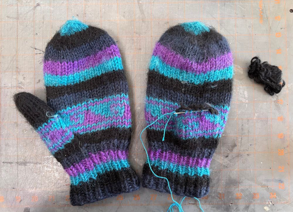 Two wool mittens in black, dark grey, purple, and blue stripes would look cosy and inviting were it not for the fact that one thumb is entirely missing. The knitted top of the missing thumb is shown to underscore the dog-inflicted devastation. A darning needle is in the process of adding a lifeline to secure the stitches just below the damage