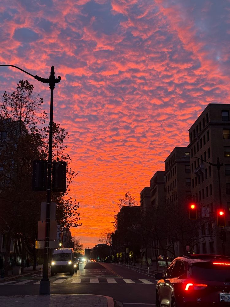 Orange clouds of sunset over a city street lined with apartment buildings. 