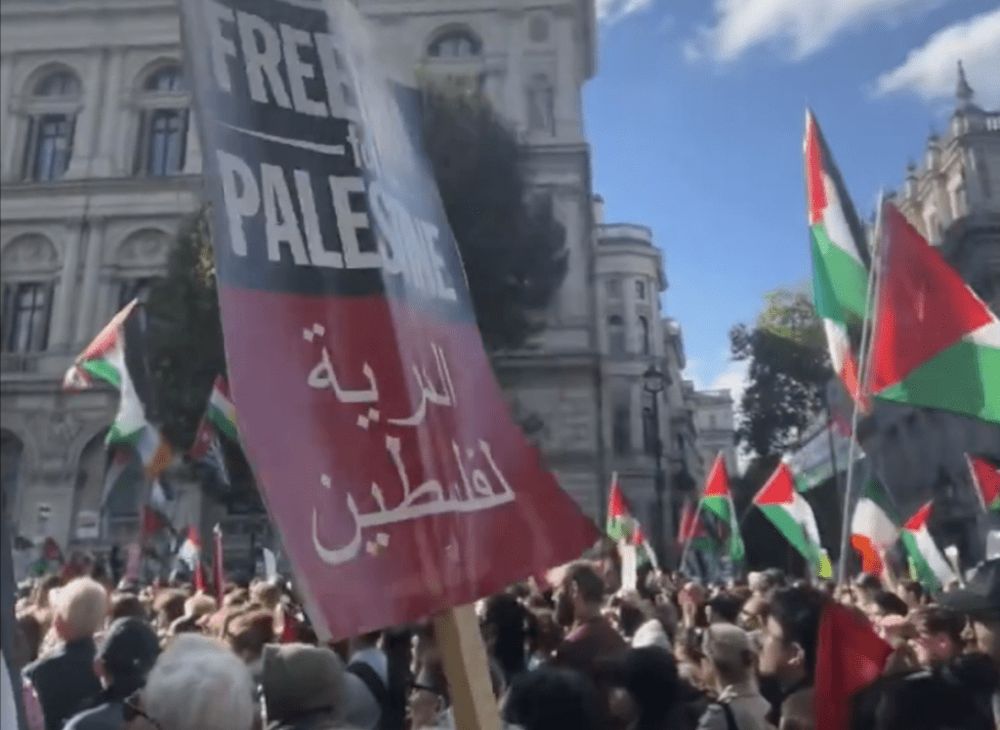 UK: Pro-Palestinian supporters gather in central London