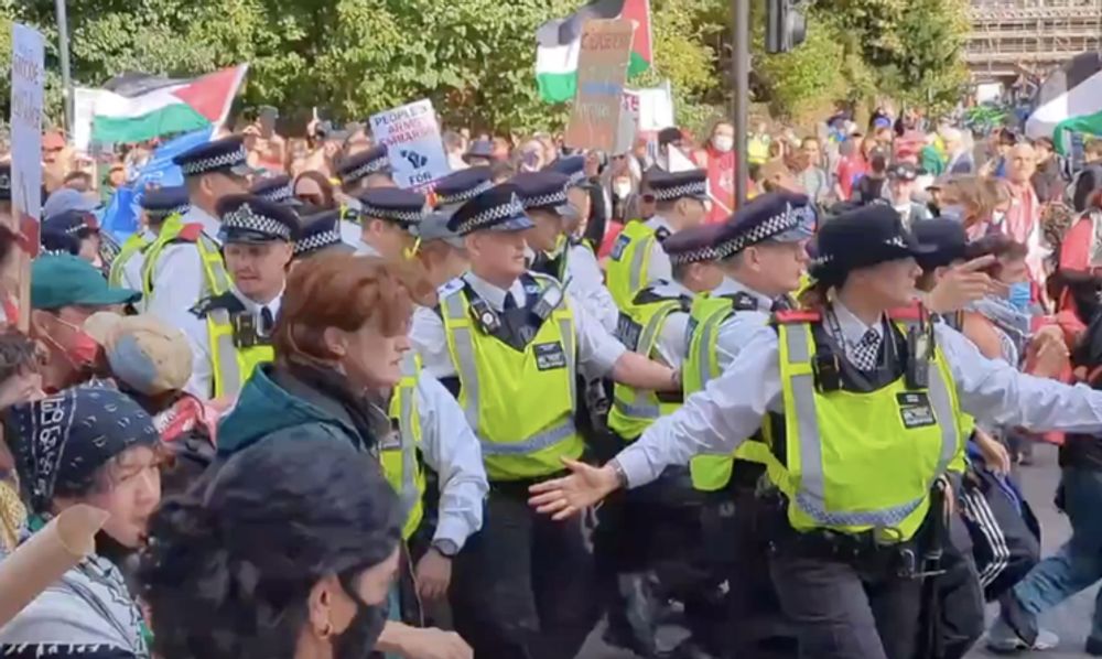 UK: Protesters scuffle with police during Palestine solidarity march in London