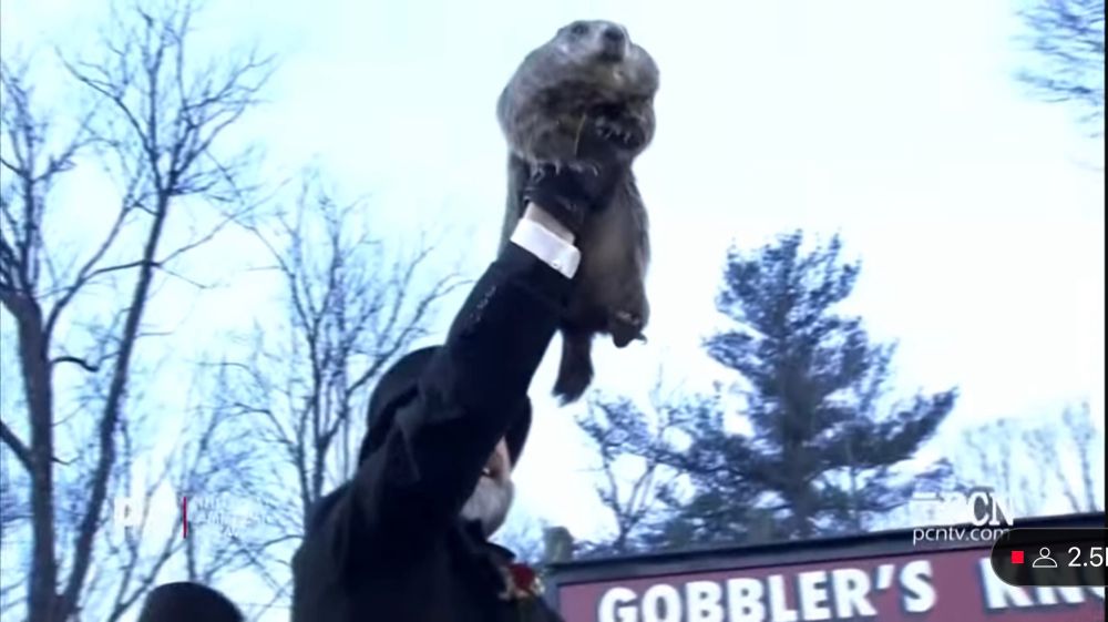 Holding up Punxsutawney Phil