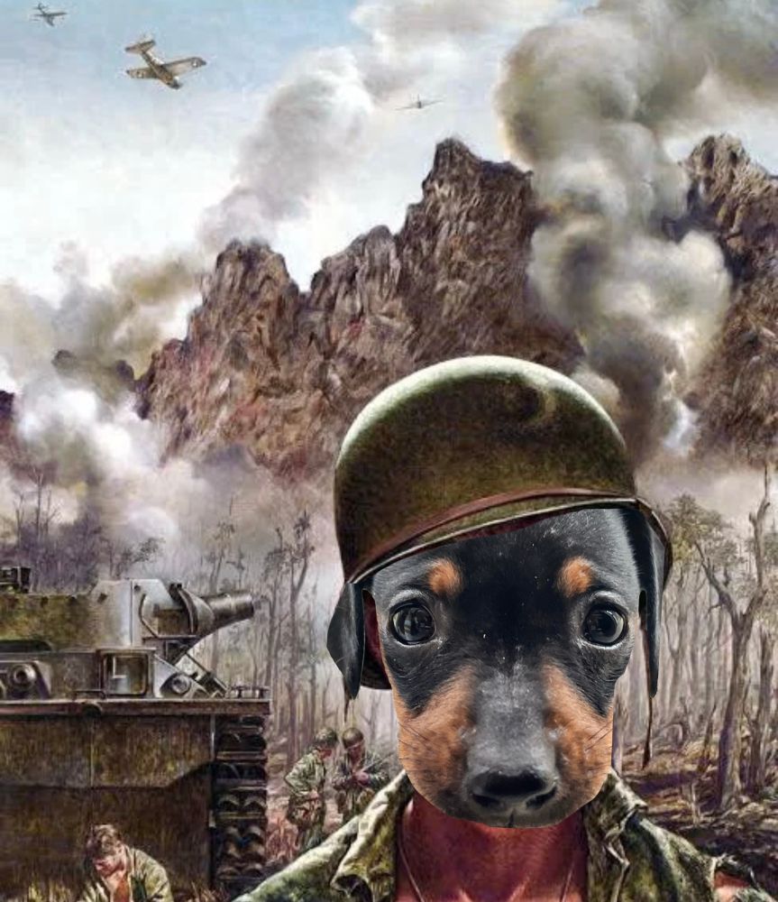 Tiny dachshund puppy in war meme 