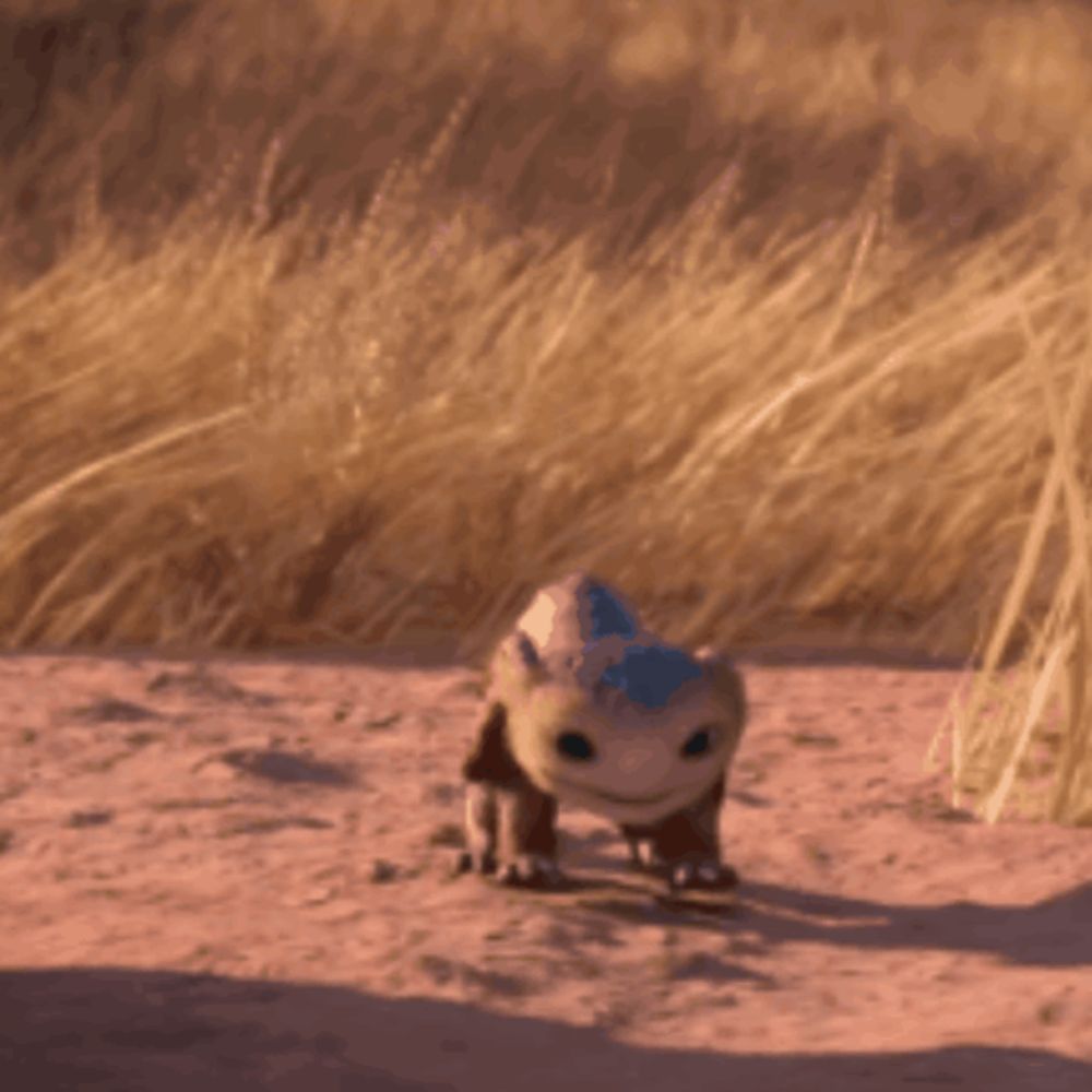 a dog is laying on its back in the dirt