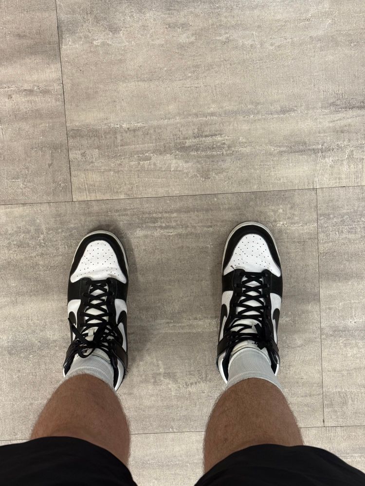 Panda dunks 