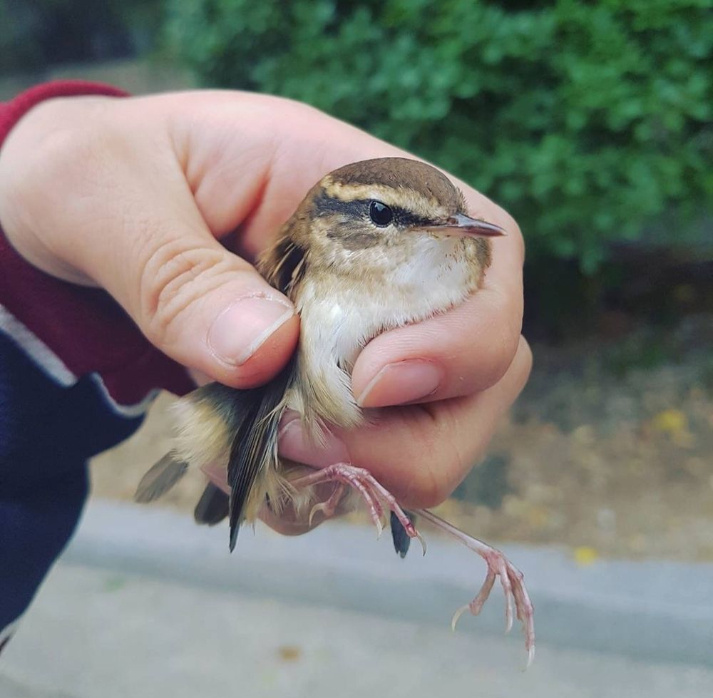 새님 집 찾아드리는 중. 작업하다 나와서 손이 더럽다