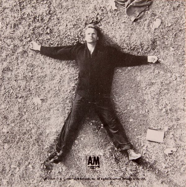 Singer Sting laying on the ground arms and legs outstretched