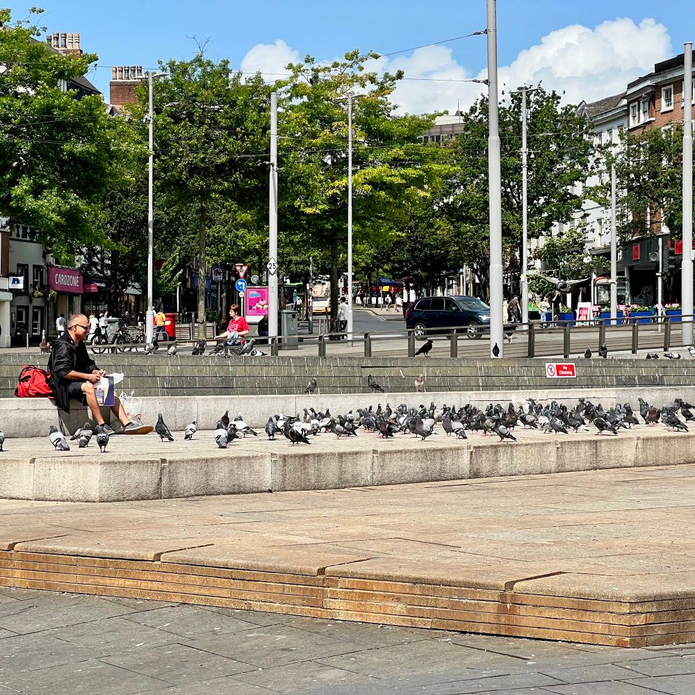 A man feeds some pigeons an uncooked pizza in the broken fountain of Nottingham market square.