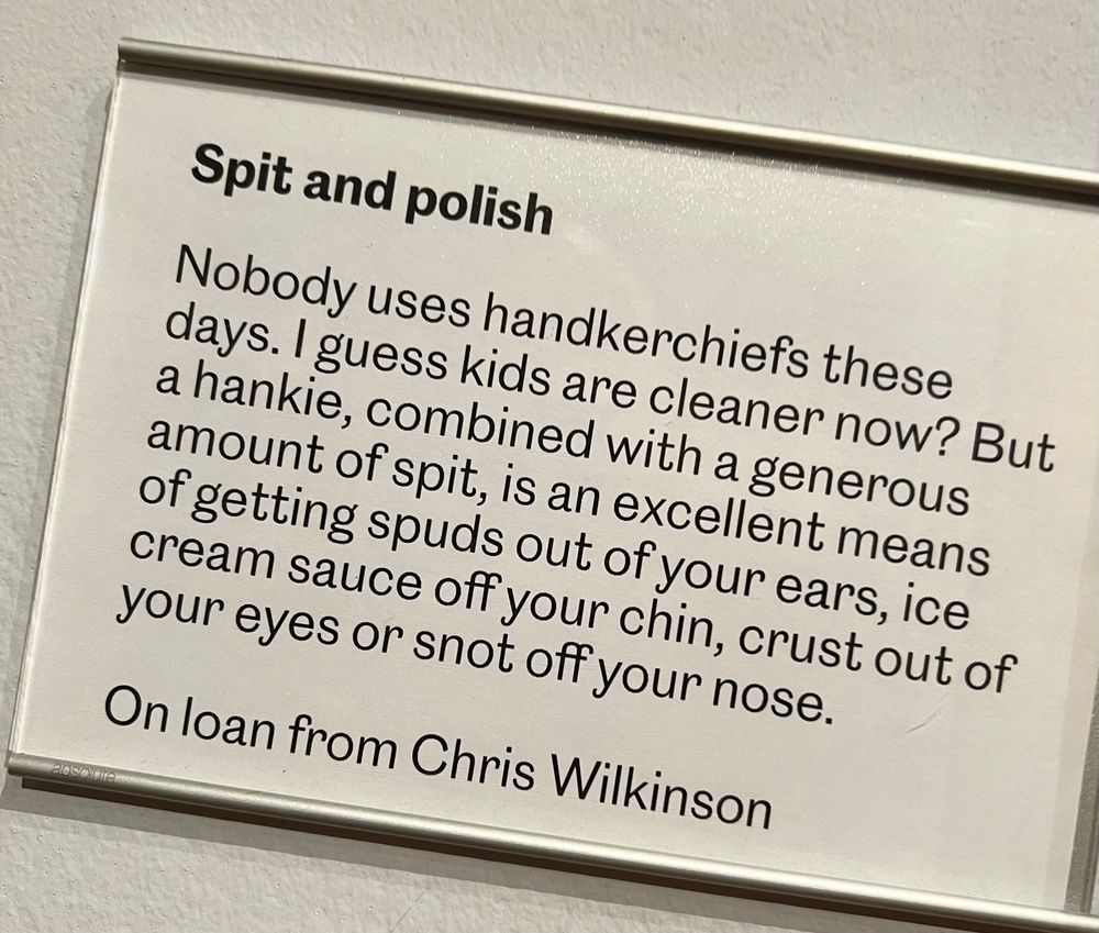 Explanatory text of Pete McKee artwork

Spit and polish
Nobody uses handkerchiefs these days. I guess kids are cleaner now? But a hankie, combined with a generous amount of spit, is an excellent means of getting spuds out of your ears, ice cream sauce off your chin, crust out of your eyes or snot off your nose.
On loan from Chris Wilkinson