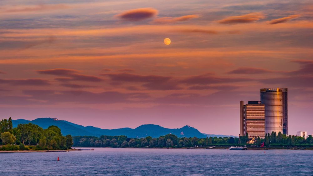 Vogelzug: Jedes Jahr sterben Vögel am hell erleuchteten Post Tower