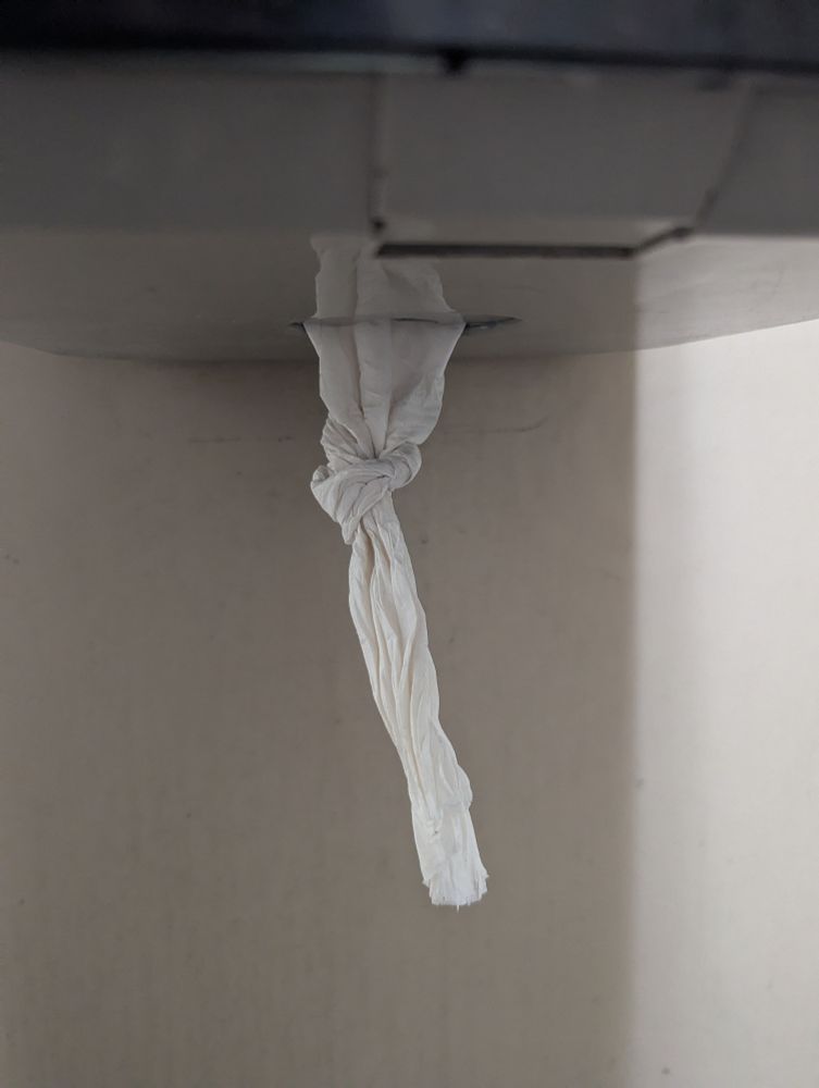 Paper towels dangling from a dispenser, with a knot tied in it.