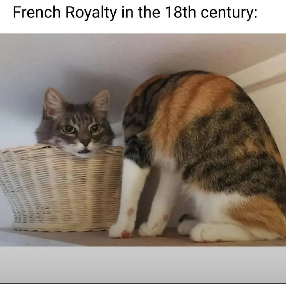 A photo of a basket and two cats. One cat is next to the basket, facing the other way so its head isn't visible. The other cat is in the basket, but only its head is visible, poking out over the top of the basket. The caption reads "French Royalty in the 18th century:"