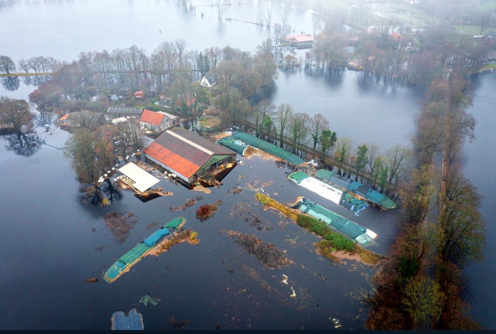 Ein Bauernhof im Bremer Stadtteil Timmersloh steht unter Wasser.
(Foto: picture alliance/dpa)
