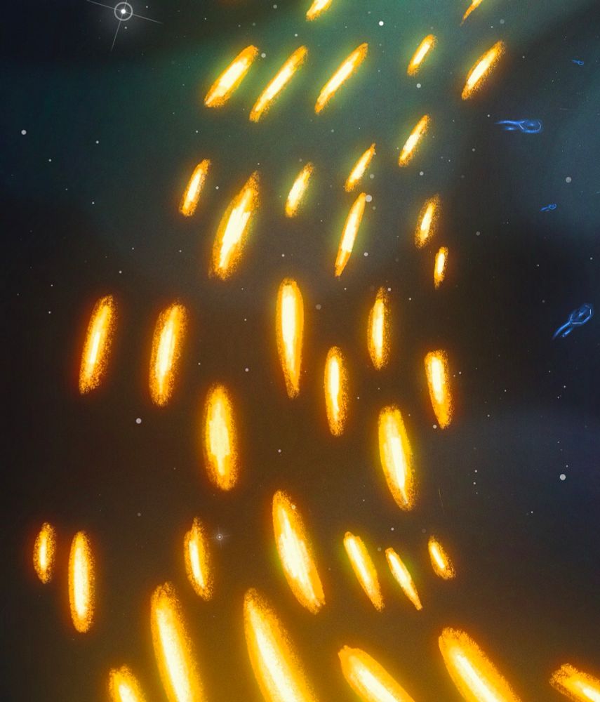 zoomed in crop of the golden lights/souls zooming towards the anomaly
