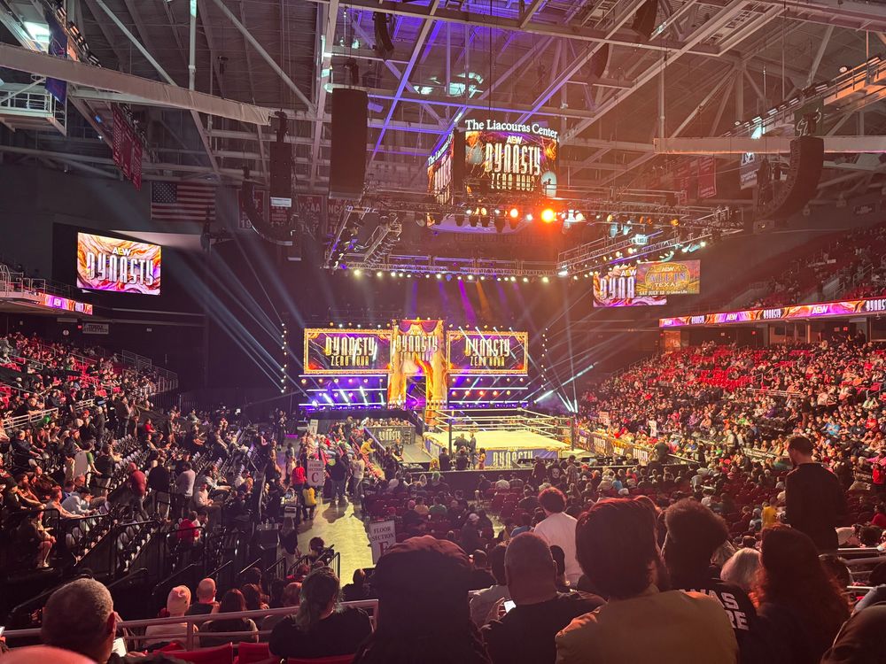 View from my seat at AEW Dynasty