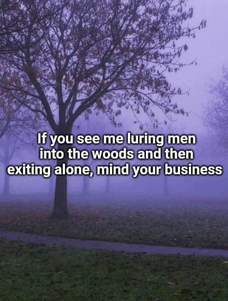 A photo of a forest with heavy, almost purple looking, fog and a small walking path 

White bold text over the image says: if you see me luring men into the woods and then exiting alone, mind your business 