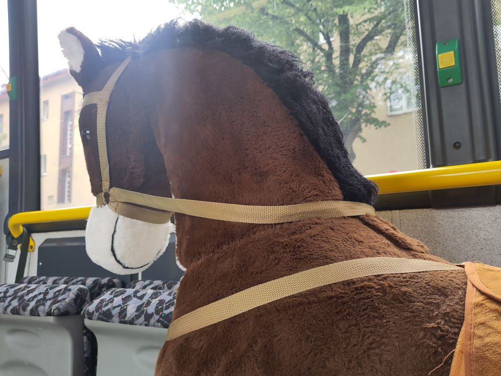 Ein Spielpferd im Bus