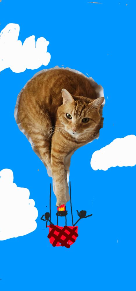 Same orange cat but now around him has been edited to look like a hot air balloon floating 
