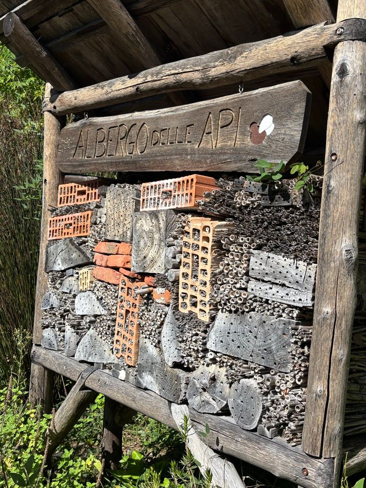 Bee house for mason and other solitary bees, located in Switzerland