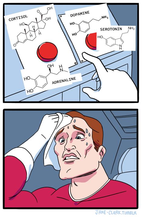 Top and bottom meme comic. The top panel shows two red buttons. The button on the left reads Cortisol and Adrenaline; the button on the right reads Dopamine and Serotonin. The bottom panel depicts a stressed man wiping an excessively sweaty brow as he stares at the two buttons.