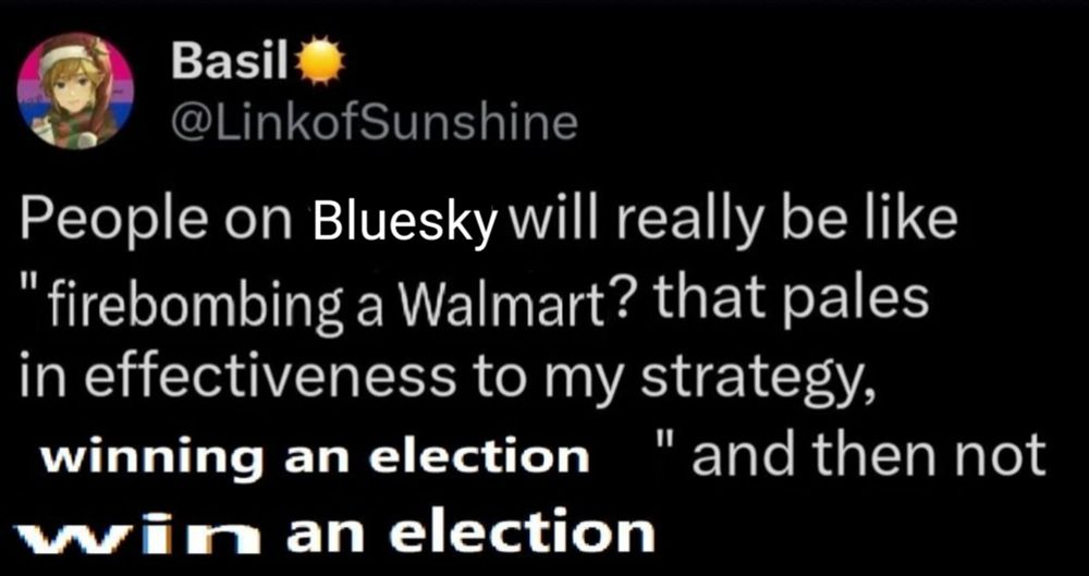 People on Bluesky will really be like "firebombing a Walmart? that pales in effectiveness to my strategy, winning an election" and then not win an election 