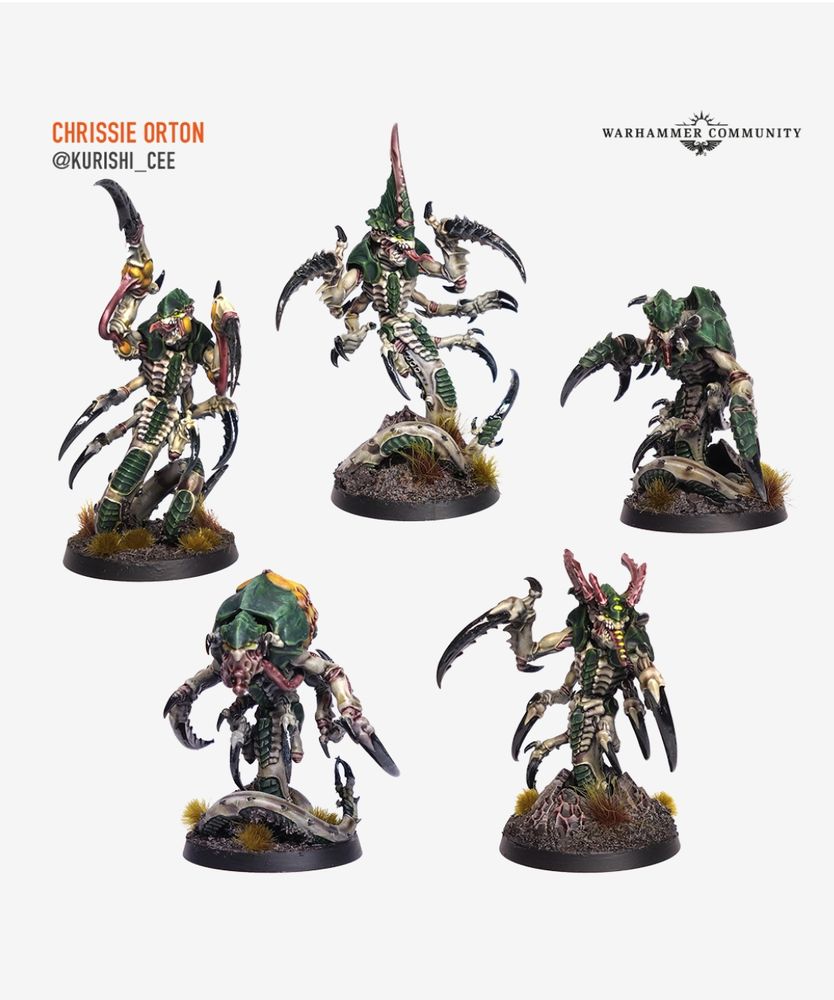 Ravenor kill team from the upcoming typhon box. 