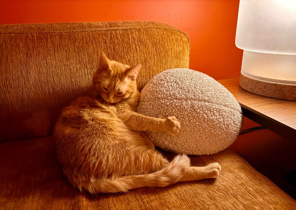 An orange cat hugging a Sherpa pillow. 