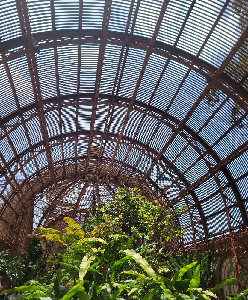 An interior shot of the san diego botanical building, featuring many plants and a lot of light.