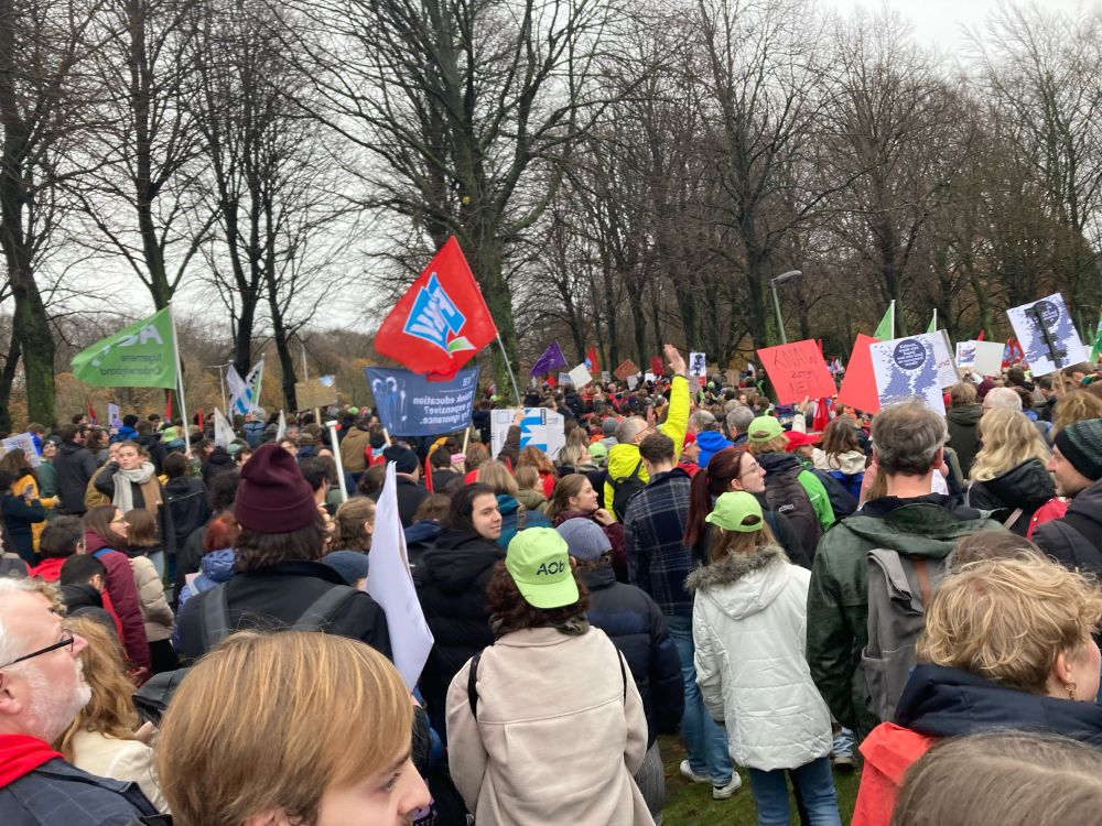 Crowd at an outdoor protest in The Hague