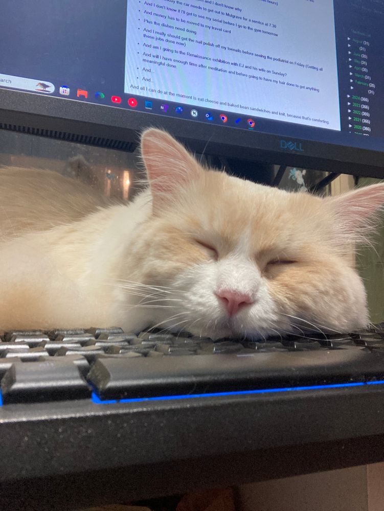 Flame ragdoll sleeps and uses my keyboard for his pillow. Above him my comptuer screen is partially visible.