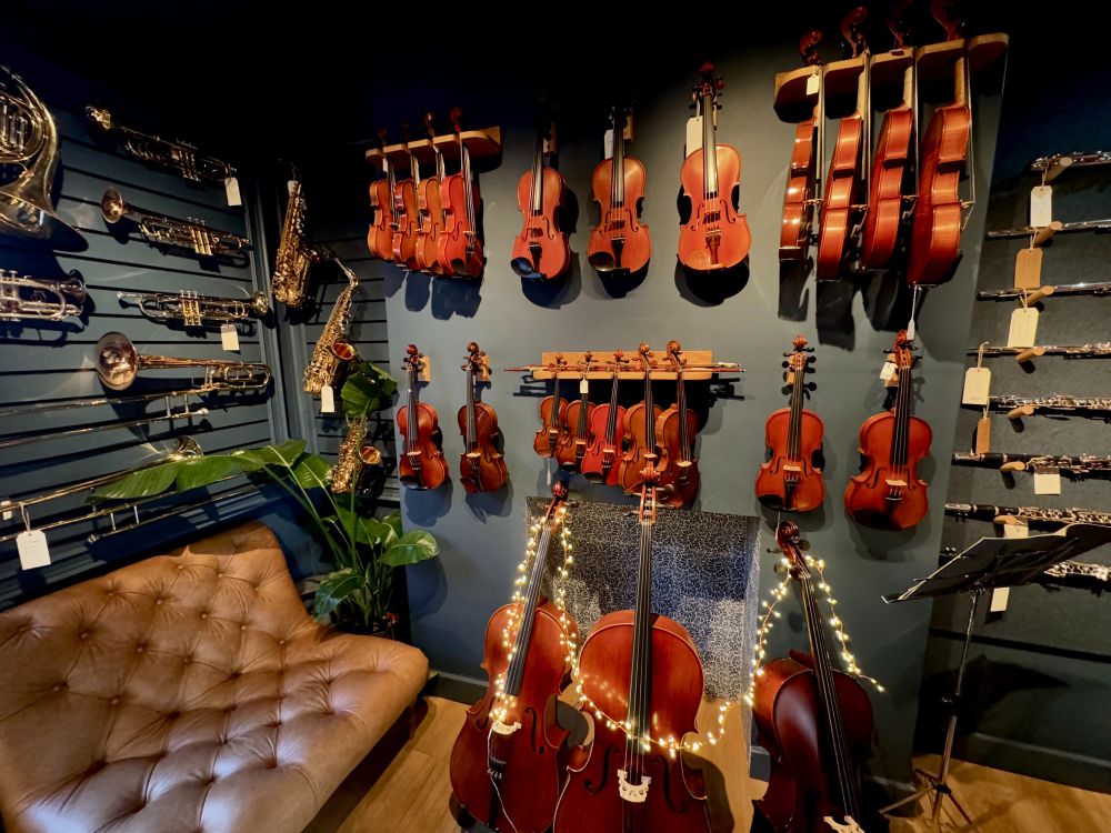 Instruments on display at local music shop.