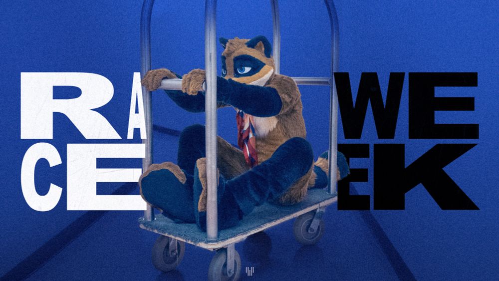 A raccoon going super fast on a baggage cart