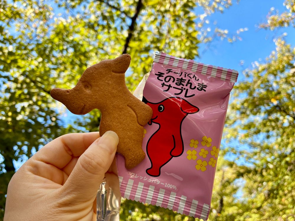 青空と木々を背景に、チーバくんの形をしたサブレを手に持っている