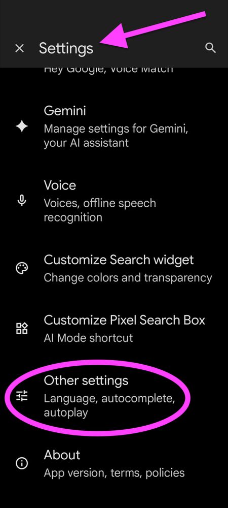 Screenshot of Android smartphone menu with "Settings" and the subheading "Other settings - Language, autocomplete, autoplay" listed just above "About" 