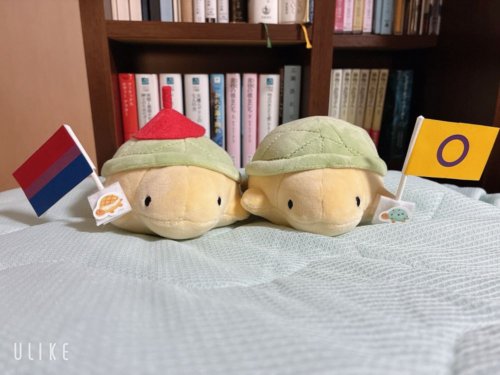 淡い色合いのカメのぬいぐるみがふたつ並んでいる。片方のカメはバイセクシャルフラッグを持っていて、もう片方はインターセックスフラッグを持ってる