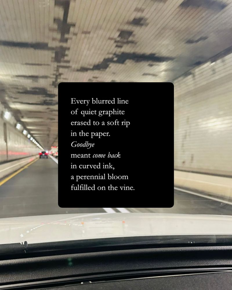 Every blurred line of quiet graphite erased to a soft rip in the paper. Goodbye meant come back in curved ink, a perennial bloom fulfilled on the vine.