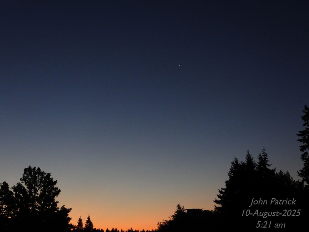 Photo: A pre-dawn sky transitioning from blue/black at the top to pinkish orange at the bottom heralding the on coming dawn.  In the fore ground are the silhouettes of tulip trees, cedars and firs.  In the sky are two dots, the larger one being Venus and the smaller, and lower in the sky being Jupiter.  