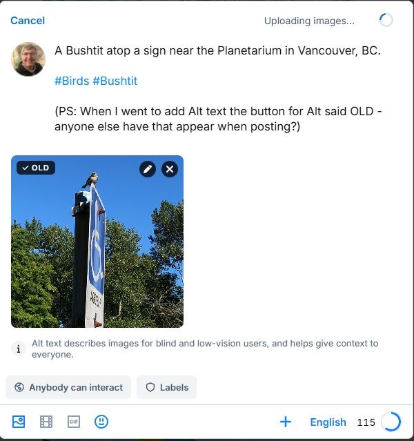 Screenshot:  Post about a bushtit atop a sign.  In the corner where the picture for that post the picture has a black cartouche with a check mark and OLD"  where it should say ALT for alternate text.