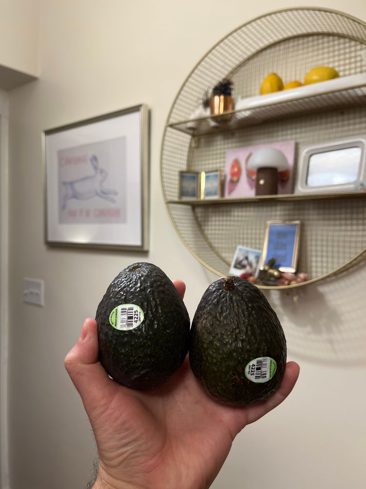 A hand holding two avocados from Mexico